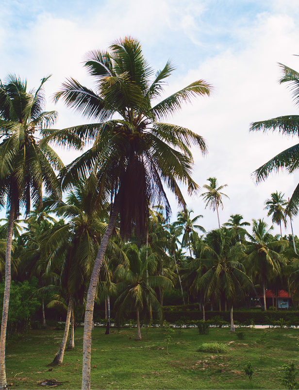 Elegant interior staircase